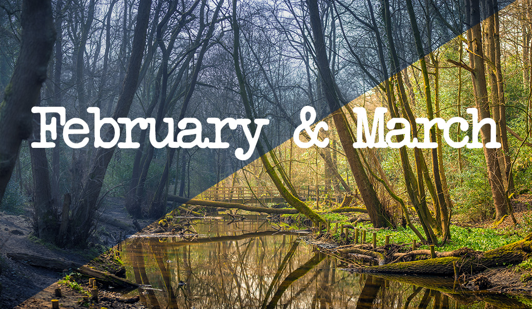 February & March Update