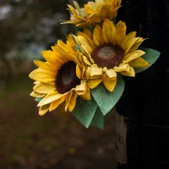 800_0822_ACR_WP
